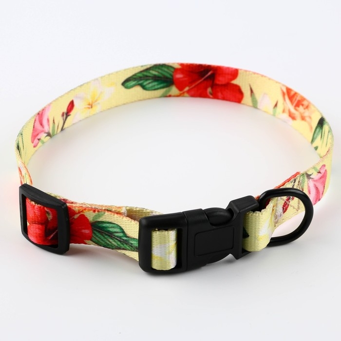 Набор &laquo;Цветы&raquo;, застёжка - фастекс, поводок 2 м и ошейник 28-46 см