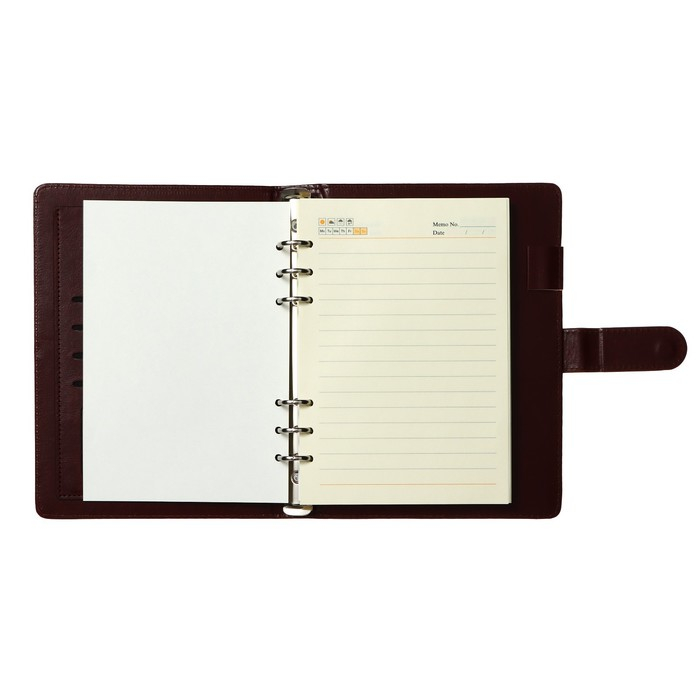 Органайзер на кольцах  Органайзер на кольцах "Классика" А5, 96 листов в линейку с ремешком, МИКС