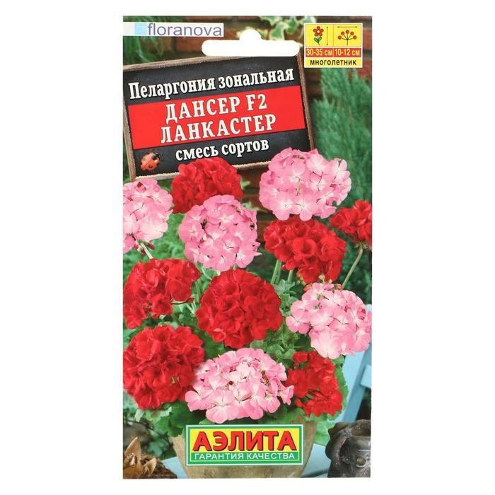Семена цветов Пеларгония Семена цветов Пеларгония "Дансер Ланкастер", смесь окрасок, F2, 5 шт.