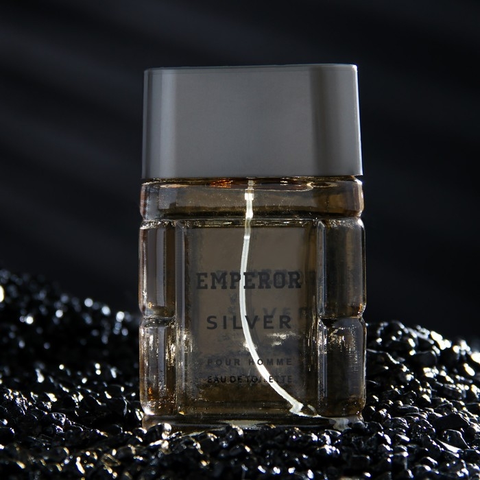 Туалетная вода мужская Emperor Siver, 100 мл (по мотивам Egoiste Platinum (Chanel) Туалетная вода мужская Emperor Siver, 100 мл (по мотивам Egoiste Platinum (Chanel)