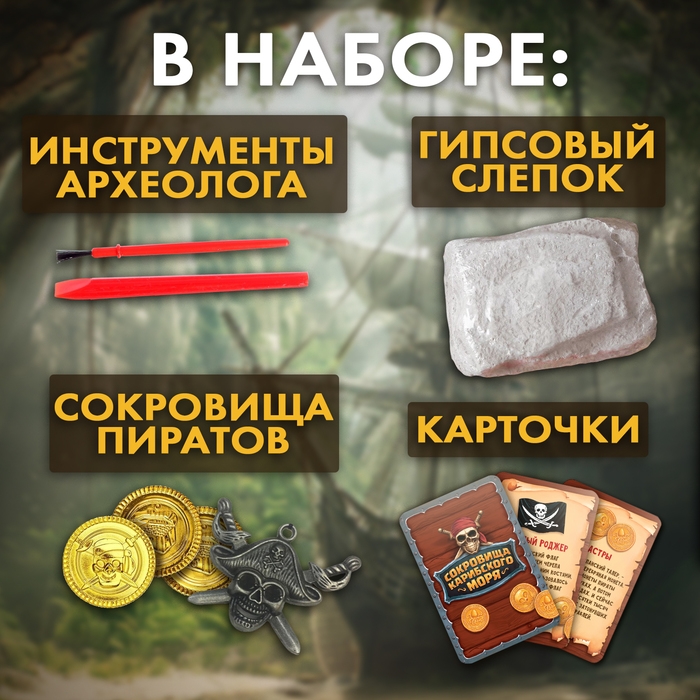 Набор для раскопок «Сокровища карибского моря» Набор для раскопок «Сокровища карибского моря»