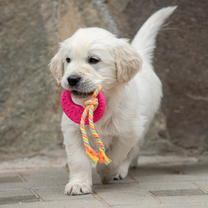 Игрушка жевательная с канатом Игрушка жевательная с канатом "Гиря", розовая