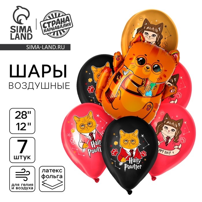 Набор воздушных шаров Набор воздушных шаров "Котик-волшебник", фольга 1 шт., латекс 6 шт.