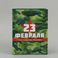 Набор подарочных ламинированных пакетов &laquo;Звезда&raquo;, 10 шт, 18 &times; 23 &times; 10 см