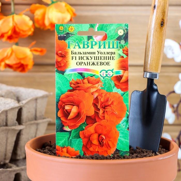 Семена цветов Бальзамин  Семена цветов Бальзамин "Уоллера Искушение оранжевое" F1, О, 4 шт.