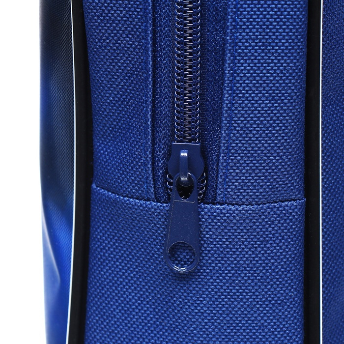 Папка с ручками текстильная А4, 350 х 270 х 70 мм, Calligrata Папка с ручками текстильная А4, 350 х 270 х 70 мм, Calligrata "Котик"