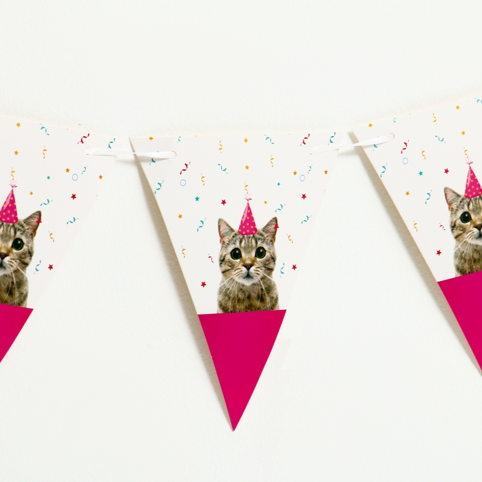 Гирлянда &laquo;Котик&raquo;