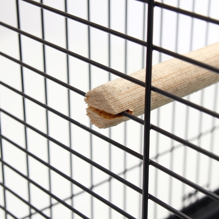 Клетка для птиц, Клетка для птиц, "Рикки max 3", 79 х 44 х 65 см, микс цветов