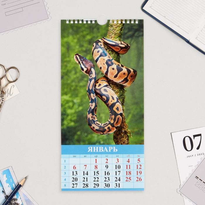 Календарь на ригеле Календарь на ригеле "Символ Года - 1" 2025 год, 16,5 х 34 см