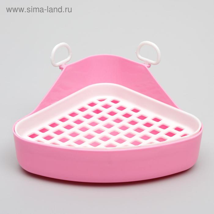 Туалет угловой для кроликов и хорьков, 18,5 х 18 см, микс цветов Туалет угловой для кроликов и хорьков, 18,5 х 18 см, микс цветов