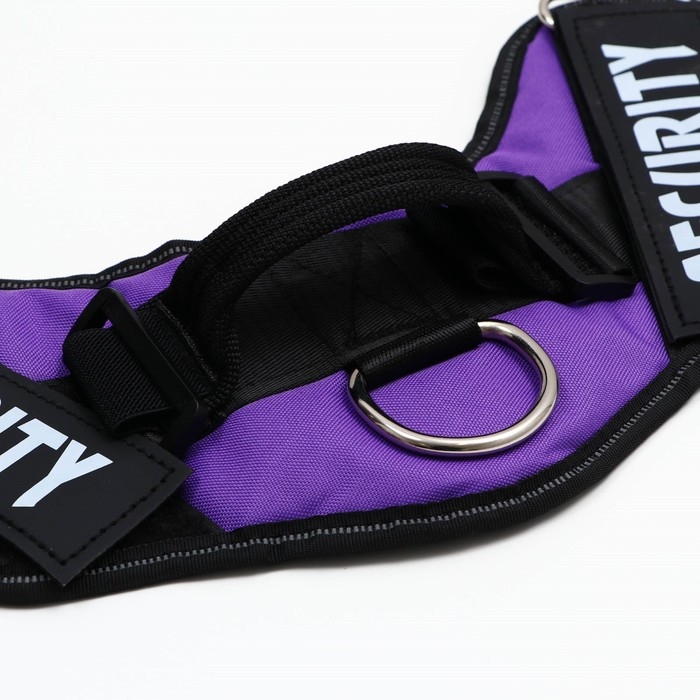 Шлейка К9 мягкая светоотражающая, размер L, ОГ 68-80 см, вес 17,5-32,5 см, фиолетовая Шлейка К9 мягкая светоотражающая, размер L, ОГ 68-80 см, вес 17,5-32,5 см, фиолетовая