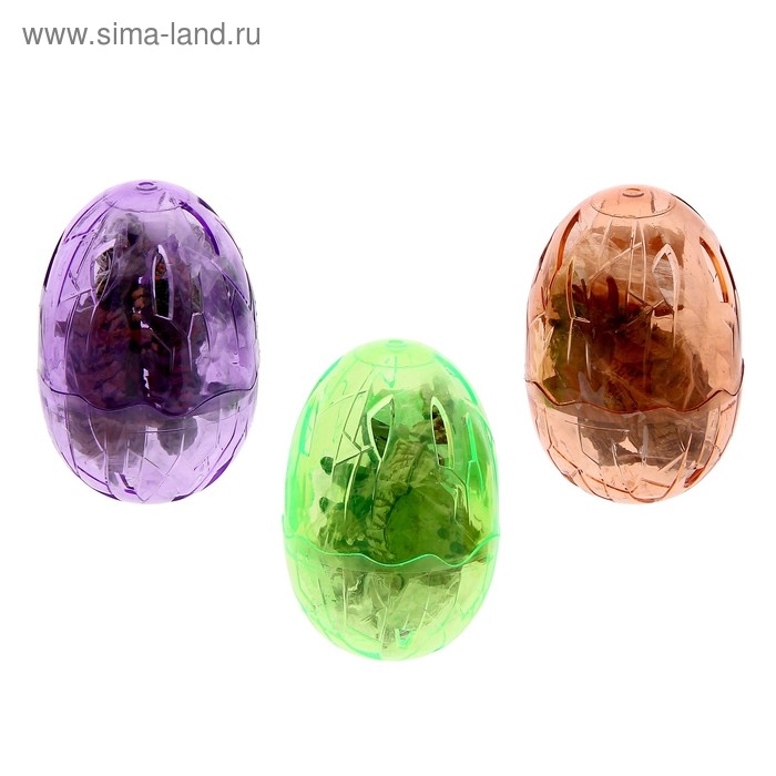 Конструктор в яйце «Динозавр», 6 видов, МИКС Конструктор в яйце «Динозавр», 6 видов, МИКС