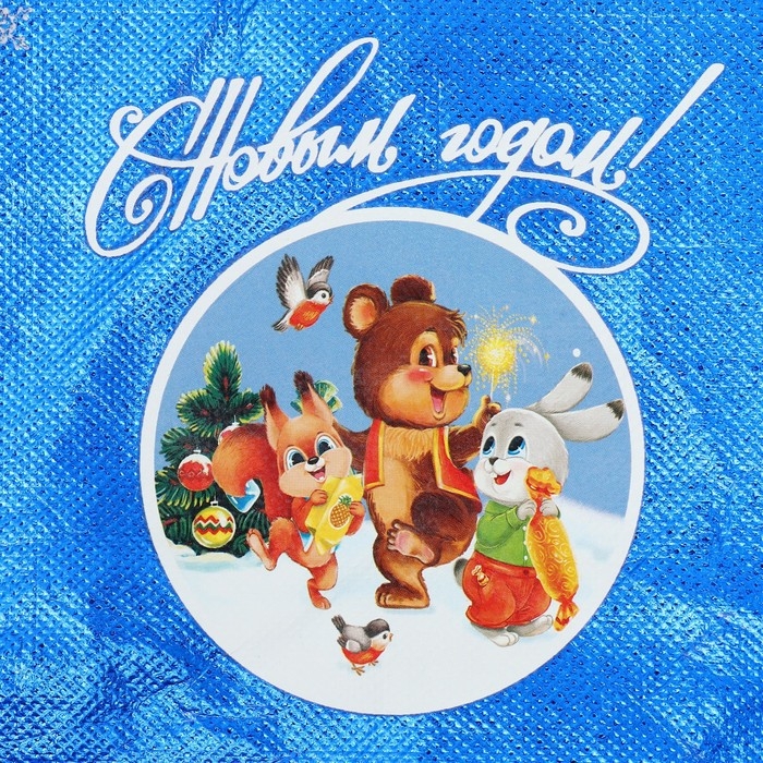 Пакет-мешок из нетканного материала «Новогодняя компания», 25 х 32 см, Новый год Пакет-мешок из нетканного материала «Новогодняя компания», 25 х 32 см, Новый год