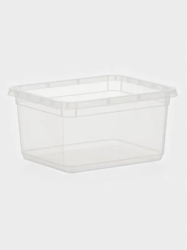 Контейнер для хранения Palm, 2 л, 19&times;15.3&times;9.8 см, с крышкой, прозрачный