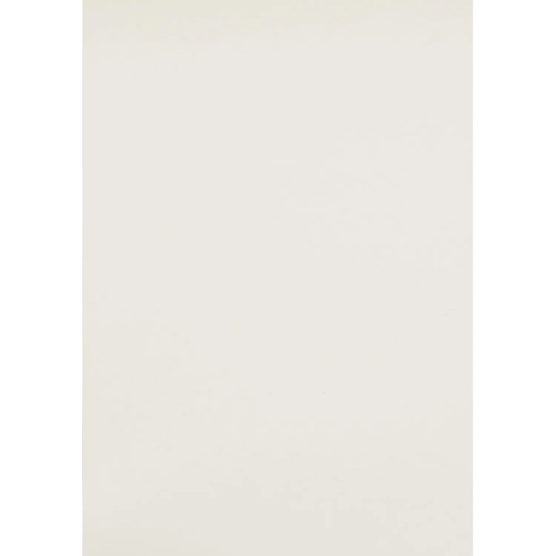 Картон цветной Выбор есть Отличник 20л 10цв А4 мелован.пакет