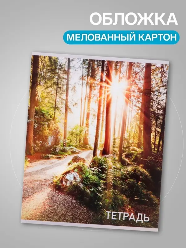 Набор тетрадей, 96 листов в клетку, Calligrata &laquo;Природа&raquo;, серые листы, 4 штуки