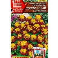 Семена цветов Бархатцы Хэппи спрай карликовые С. Floranova Цветущий балкон, Ц/П,7 шт. Семена цветов Бархатцы Хэппи спрай карликовые С. Floranova Цветущий балкон, Ц/П,7 шт.