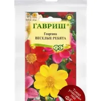 Семена Георгина воротничковая &laquo;Веселые ребята&raquo;, 0.5 г, &laquo;Гавриш&raquo;