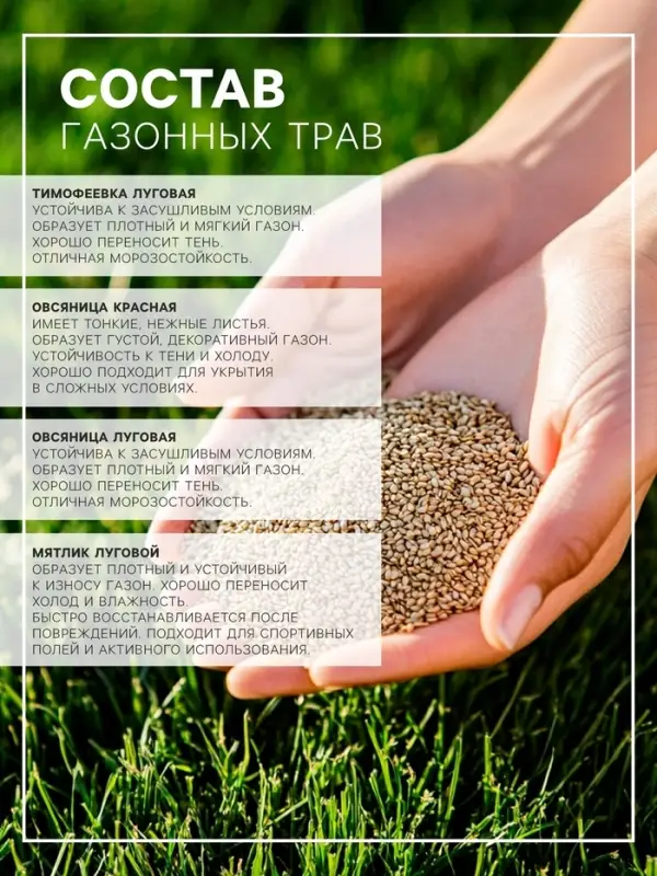 Газонная травосмесь &laquo;Мавританский&raquo;, 100 г