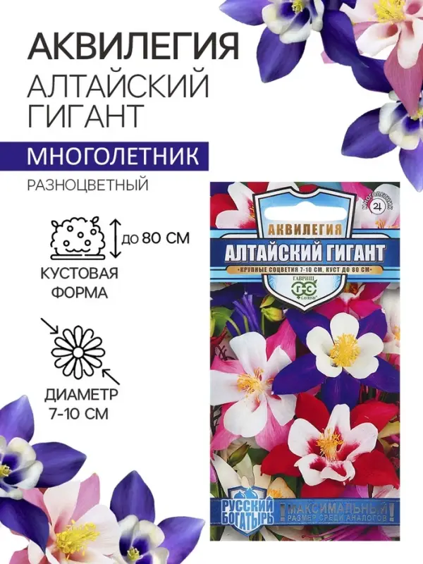 Семена аквилегия «Алтайский гигант», цветной пакет, 0.05 г Семена аквилегия «Алтайский гигант», цветной пакет, 0.05 г