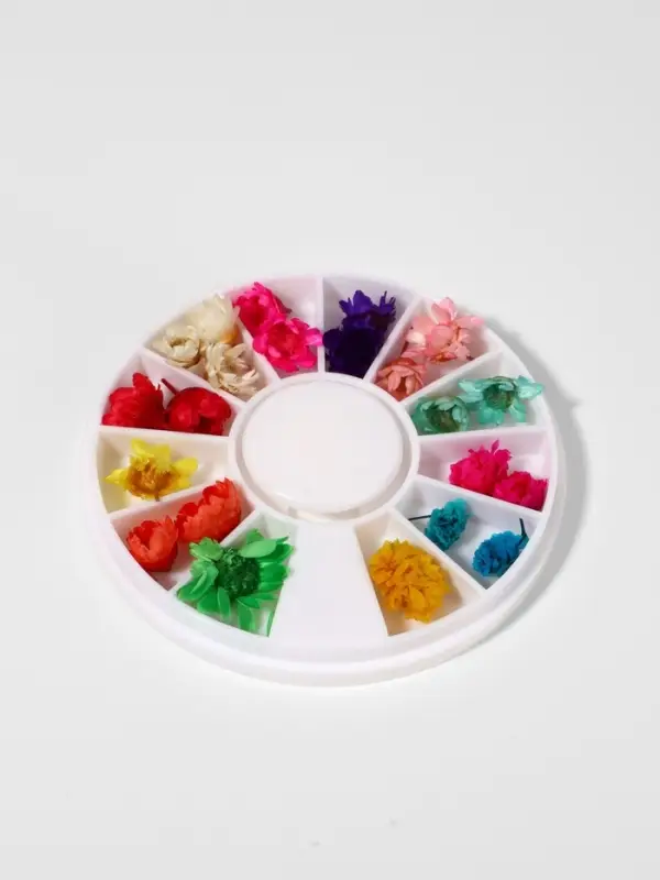 Сухоцветы для декора &laquo;Ромашки&raquo;, объёмные, 12 видов, в футляре, разноцветные