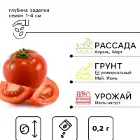 Семена Томат балконный &laquo;Сибирский скороспелый&raquo;, детерминантный, низкорослый, 0.2 г, &laquo;Агрофирма АЭЛИТА&raquo;