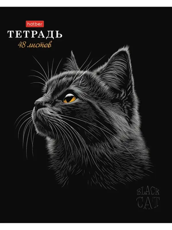Тетрадь 48л А5ф клетка 60-65г/кв.м на скобе Обл. мел.картон мат.ламин. 3D лак МИКС