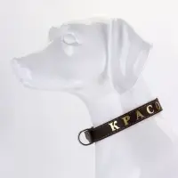 Ошейник однослойный "Красотка", 2.5 см, тиснение фольгой, микс цветов Ошейник однослойный "Красотка", 2.5 см, тиснение фольгой, микс цветов