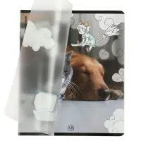 Тетрадь 48 листов в клетку ErichKrause Dream Cat, 60 г/м&sup2;, обложка мелованный картон, МИКС