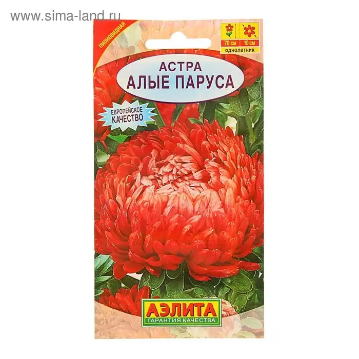 Семена цветов Астра "Алые паруса", О, 0,2 г