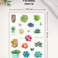 Переводные тату на тело цветные «Бабочки. Суккуленты», 24×14.5 см, МИКС