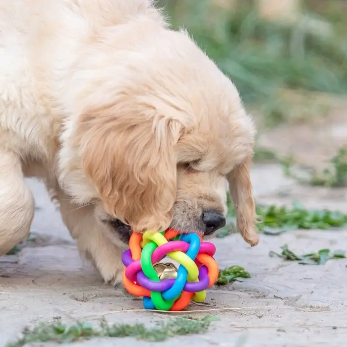 Мяч для собак &laquo;Молекула&raquo;, 7 см, с бубенчиком, МИКС