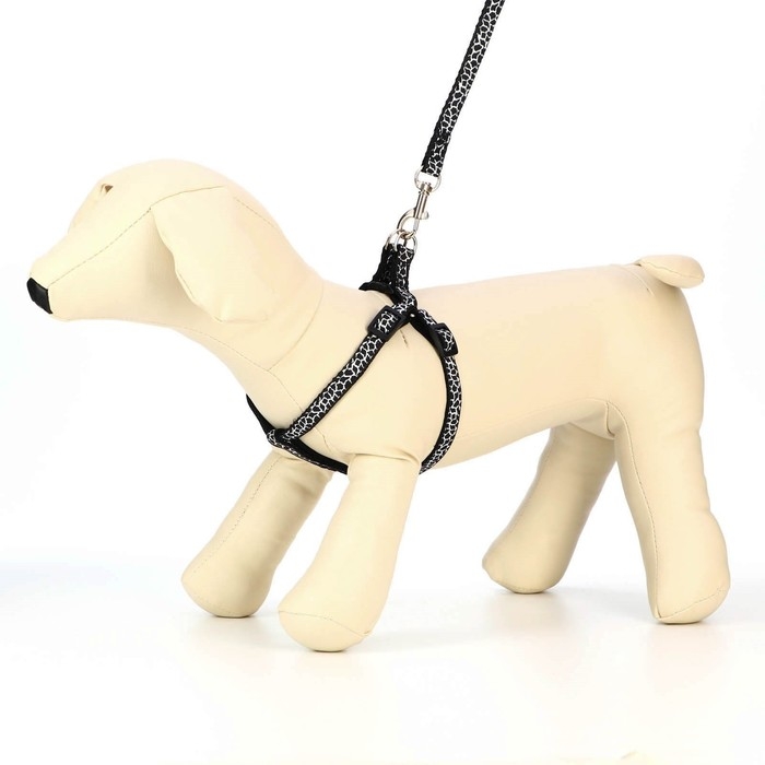 Комплект прошитый Комплект прошитый "Жираф", ширина 1 см, поводок 120 см, шлейка 23-35 см, чёрно-белый