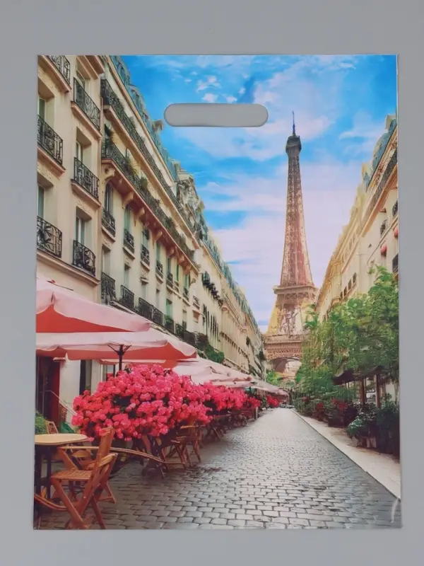 Пакет "Париж", полиэтиленовый с вырубной ручкой, 31 х 40 см, 60 мкм