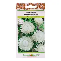 Семена цветов Гелихризум "Белое солнце", 0,1 г Семена цветов Гелихризум "Белое солнце", 0,1 г