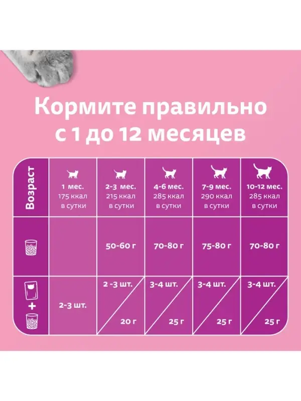 Влажный корм Whiskas для котят, курица, паштет, 75 г