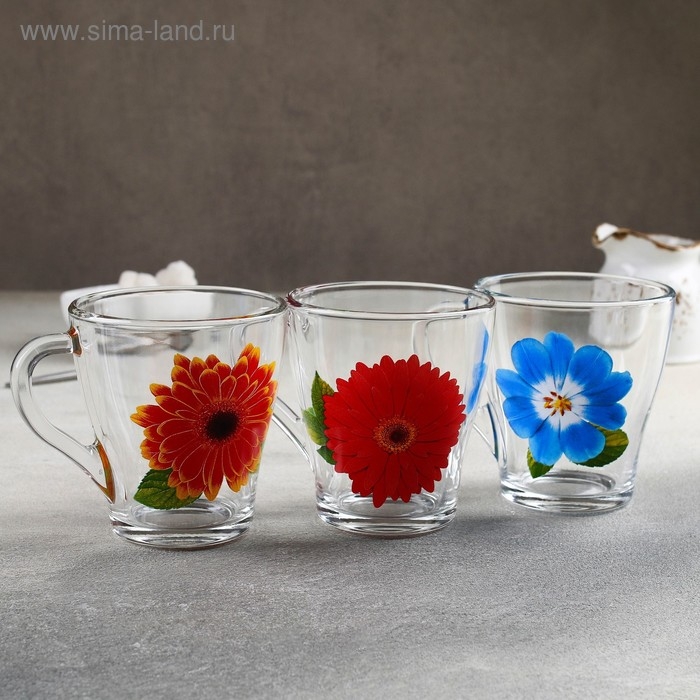 Кружка стеклянная «Коллекция цветов», 250 мл, рисунок МИКС