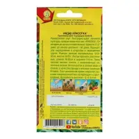 Набор семян Индау (Руккола) "Красотка", 5 шт. Набор семян Индау (Руккола) "Красотка", 5 шт.