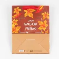 Пакет подарочный ламинированный, упаковка, «Классному учителю», MS 18 х 23 х 10 см