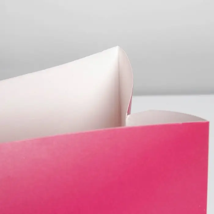 Пакет—коробка «Фуксия», 23 х 18 х 11 см Пакет—коробка «Фуксия», 23 х 18 х 11 см