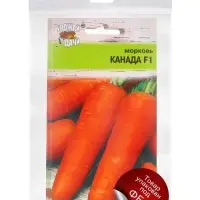 Набор семян Морковь &laquo;Канада&raquo;, 5 шт.