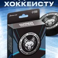 Шайба хоккейная Winter Star, взрослая, d=7.6 см