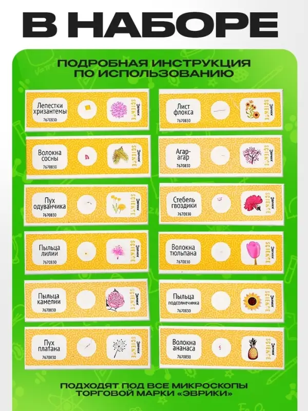 Набор для опытов &laquo;Набор микропрепаратов&raquo;, цветы