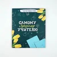 Набор пакет и открытка "Самому лучшему учителю"