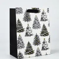 Набор пакетов &laquo;Новый год&raquo;, 3 шт,  18 &times; 23 &times; 9 см
