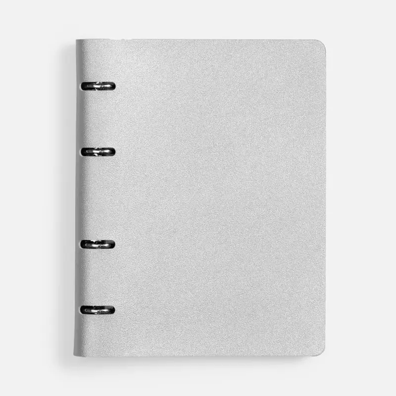 Ежедневник Ringo, недатированный, серебристый Ежедневник Ringo, недатированный, серебристый