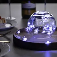 Гирлянда &laquo;Нить&raquo; 2 м, роса с насадками &laquo;Звезда&raquo;, IP20, серебристая нить, 20 LED, свечение белое, 2 режима, ААх2