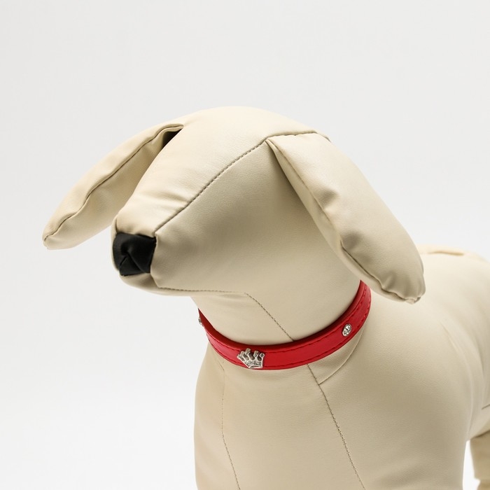 Ошейник Ошейник "Корона" с металлическим декором и со стразами, 36 х 1,4 см, ОШ 24-31, красный