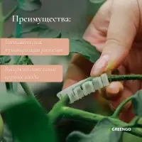 Кистедержатель «Улитка», 3.5 см, набор 50 шт., Greengo