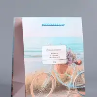 Пакет подарочный "Путь к мечте" ламинированный 18 х 22,3 х 10 см